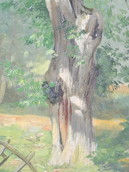 Paul MERY (1858-1921) 
The old tree and the...