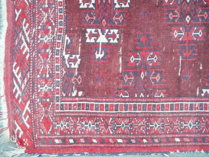 Tapis Turkmène (chaine, trame et velours...