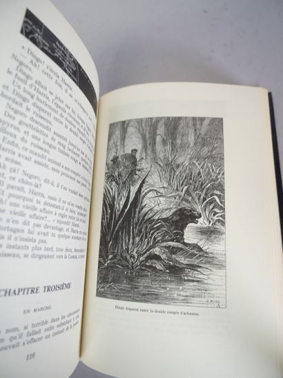Jules VERNE. Réunion de 20 volumes. Jean...