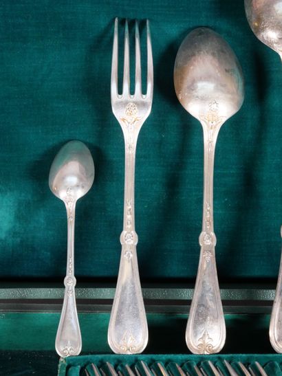 Silver-plated silverware set with foliage...