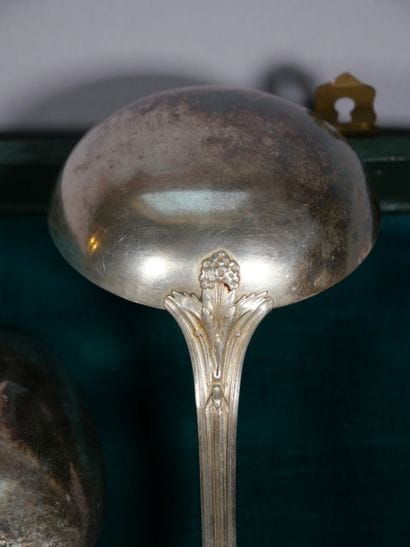 Silver-plated silverware set with foliage...