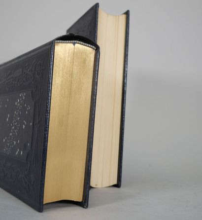 Jules VERNE. Réunion de 20 volumes. Jean...