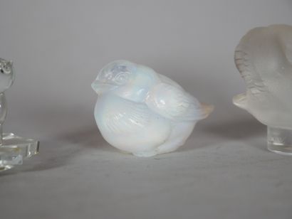Reunion of subjects including : 
- LALIQUE...