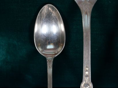 Silver-plated silverware set with foliage...