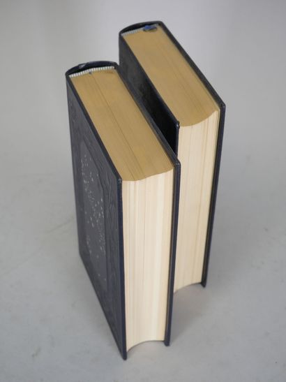 Jules VERNE. Réunion de 20 volumes. Jean...