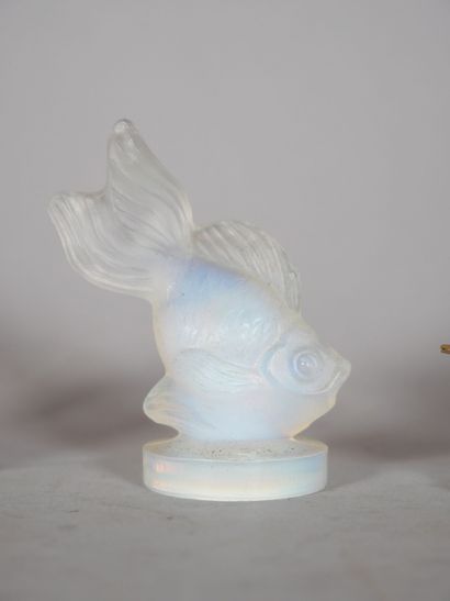 Reunion of subjects including : 
- LALIQUE...