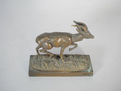 École d'après le XIXe siècle
Le chevreuil
Épreuve...
