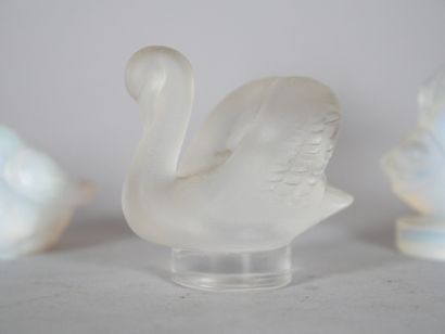Reunion of subjects including : 
- LALIQUE...