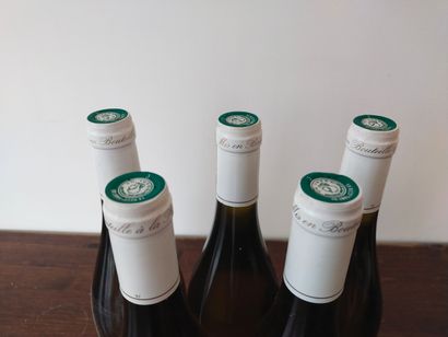 5 bouteilles LE CHAMPS DES PLANTES, POUILLY-FUME...