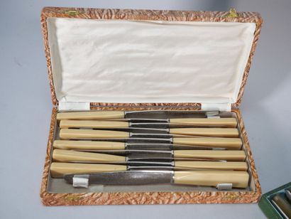 12 large stainless steel knives, horn handles,...
