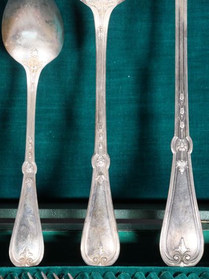 Silver-plated silverware set with foliage...