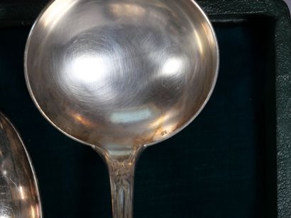 Silver-plated silverware set with foliage...