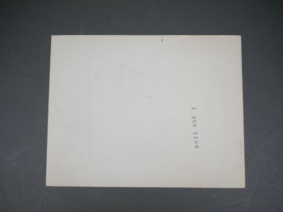 Set of 21 photographs of the French military...