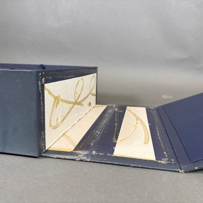 Falcon 7x DASSAULT AVIATION, maquette en...