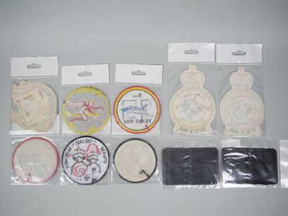 Collection of 10 pilot badges:
-03-007 (x2)
-...