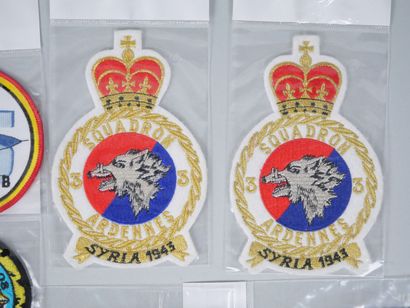 Collection of 10 pilot badges:
-03-007 (x2)
-...