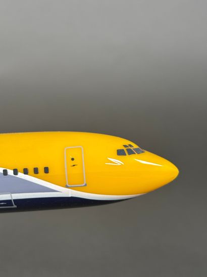 Deux maquettes d'avions en plastique assemblées...