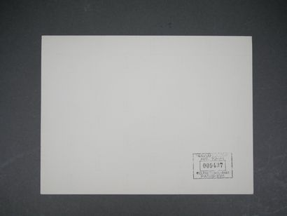 Set of 21 photographs of the French military...