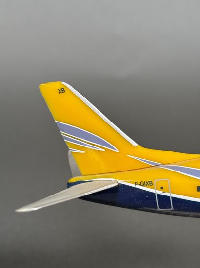 Deux maquettes d'avions en plastique assemblées...