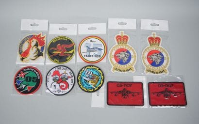 Collection of 10 pilot badges:
-03-007 (x2)
-...
