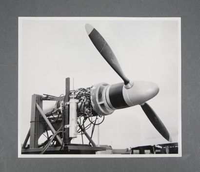 Set of 21 photographs of the French military...