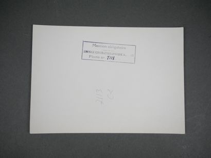 Set of 21 photographs of the French military...