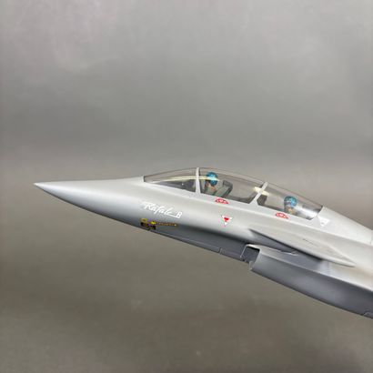 Rafale B Biglace, modèle en résine aux couleurs...