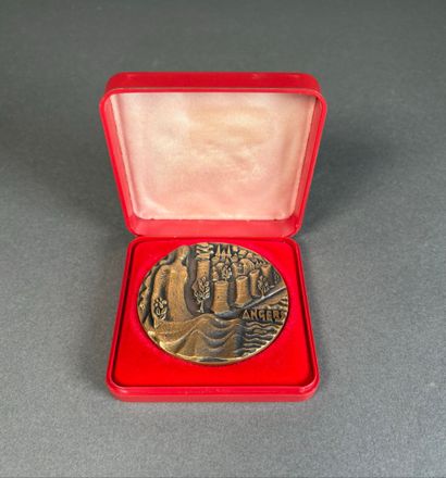 Médaille en bronze de 