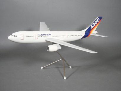 AIRBUS A300-600. Resin model in the manufacturer’s...