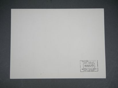 Set of 21 photographs of the French military...