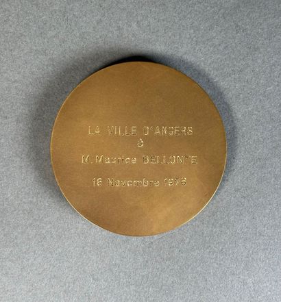 Médaille en bronze de 