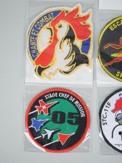 Collection of 10 pilot badges:
-03-007 (x2)
-...