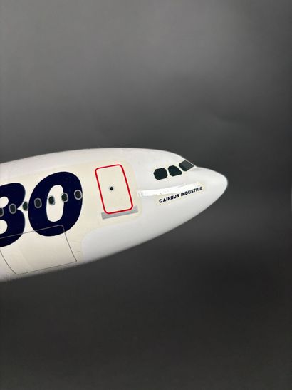 Maquette Airbus en résine aux couleurs Airbus...