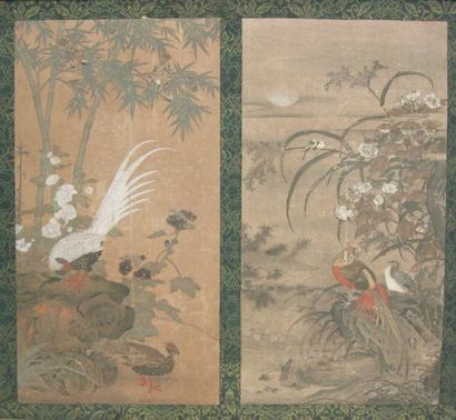 JAPON
Oiseaux branchés dans des paysages...