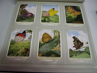 300 CHROMOS LIEBIG : 50 Séries de 6 - Français....