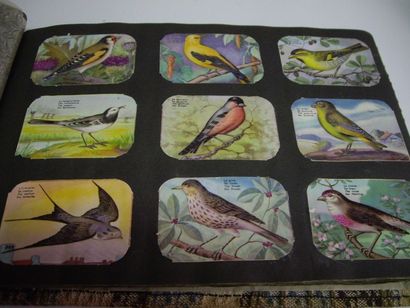 395 IMAGES : Couleurs, de divers thèmes,...