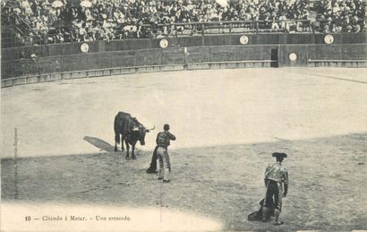 24 CARTES POSTALES CORRIDA : France & Etrangers,...