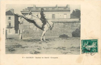 38 CARTES POSTALES LES CHEVAUX : Dont