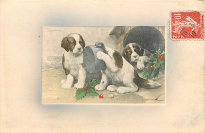 113 CARTES POSTALES LES ANIMAUX : Chats-7cpm,...