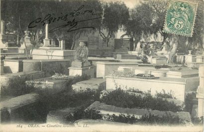 47 CARTES POSTALES JUDAICA : Divers. Dont