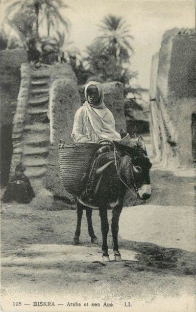 37 CARTES POSTALES ALGERIE : Scènes & Types....