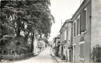 766 CARTES POSTALES FRANCE : Toutes Réfgions...