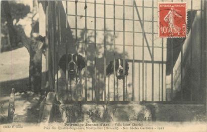 111 CARTES POSTALES HERAULT : Villes, qqs...