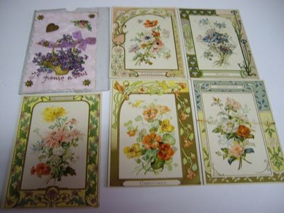 65 CARTES POSTALES & IMAGES : Divers Thèmes....