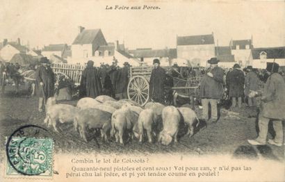 40 CARTES POSTALES SCENES & TYPES : Divers...
