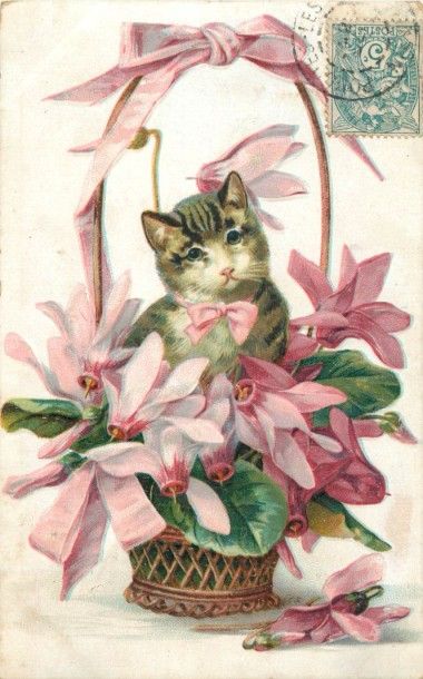 232 CARTES POSTALES FANTAISIES : Divers Thèmes....