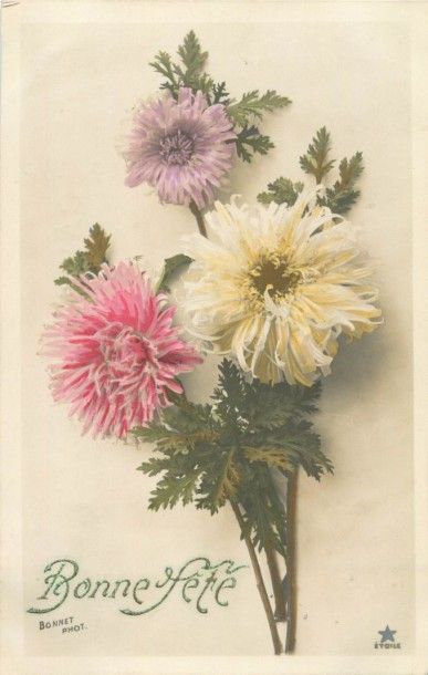 232 CARTES POSTALES FANTAISIES : Divers Thèmes....
