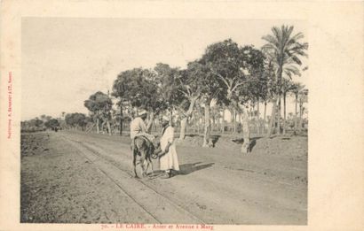225 CARTES POSTALES ETRANGERS : Tous Pays...