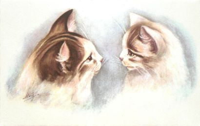 30 CARTES POSTALES LES ANIMAUX : Divers....