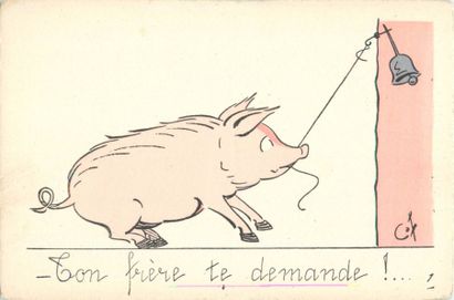 23 CARTES POSTALES LES COCHONS : Divers....